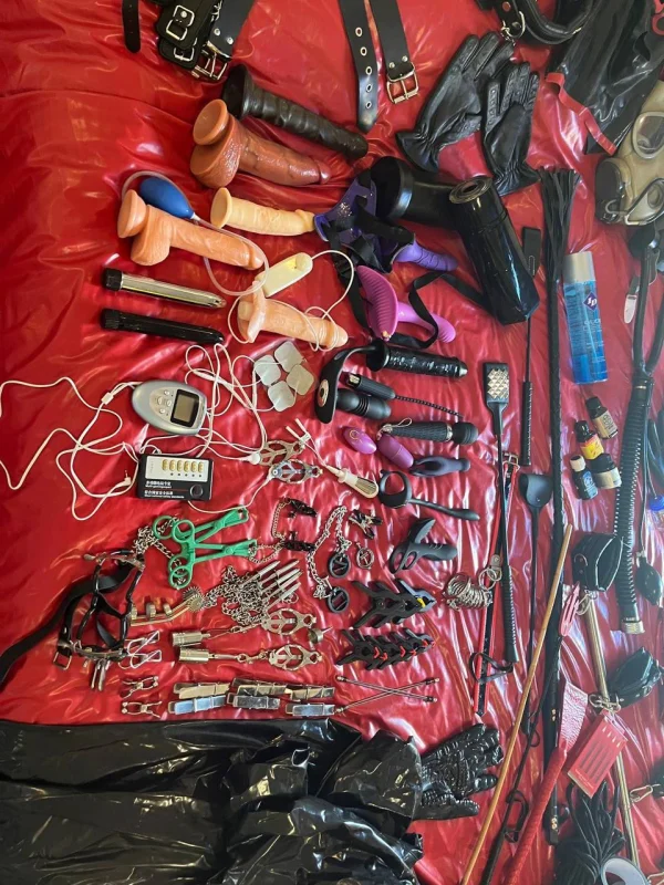 A collection of naughty bedroom toys 