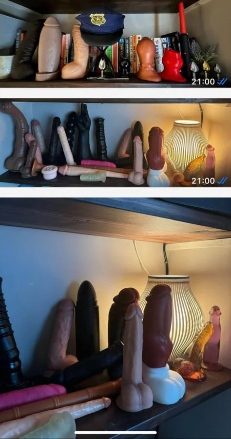 Dildos on a shelf 